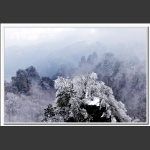 瑞雪兆丰年