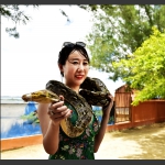 美女与蛇