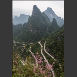 哈雷上天路