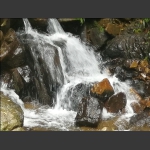 山泉从这流过