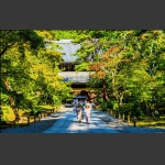 古寺丽影