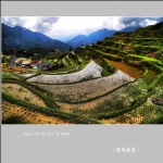 赵善村_2239