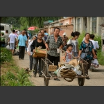 赶集路上