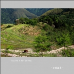 坑根村_7821