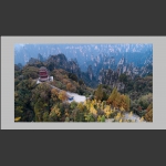 天子山秋色