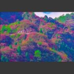 崇山秋色1