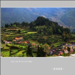 赵善村_2218