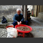精选茶子