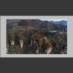 天子山秋景1