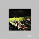 无题_3133