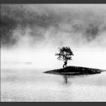 湖景