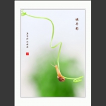 蜗牛图