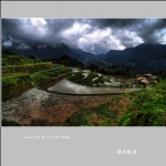 赵善村_2366