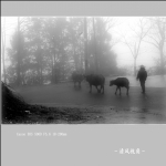 牧归_0843