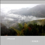 雨雾蒙蒙_9861