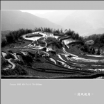 云和梯田_7943