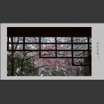 窗外景色·