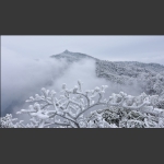 天门山雾凇