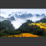 空中田园