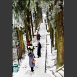黄石寨赏雪
