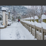 风雪早行人