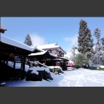 雪 乡2