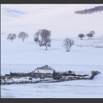 冬雪寂寂溢清寒
