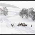 冬雪寂寂溢清寒
