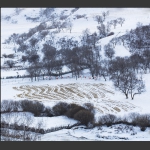 冬雪寂寂溢清寒