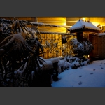 雪 乡5