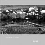 婺源江岭_3163