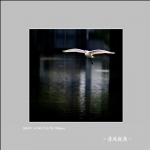 白鹭_7007
