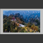 天子山秋色