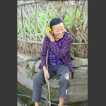 带花