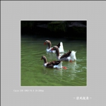 无题_5285