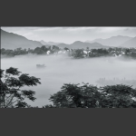 水墨桃花潭