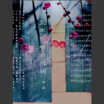 魅影