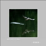 无题_5006