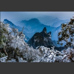 雪中仙界
