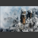 天子山的雪