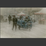 雪中行