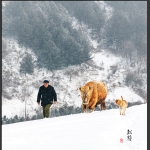 山里人