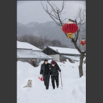 走亲戚