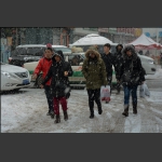 雪纷纷路匆匆