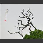 守候