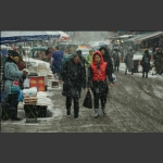 雪中行