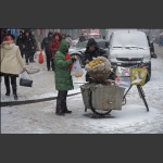白雪白梨