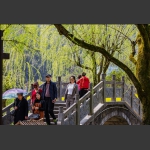 春游