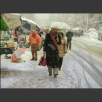 雪中行