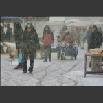 雪中行